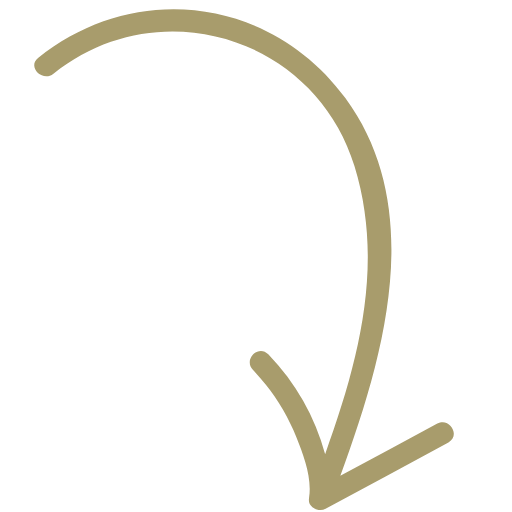 seta